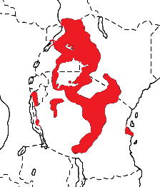 Golden-backed Weaver map