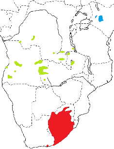 Long-tailed Widowbird map