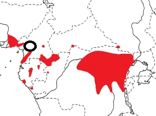 Red-bellied Malimbe map