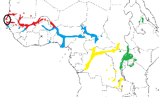 Yellow-backed Weaver map