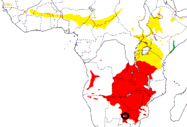 Red-headed Weaver map