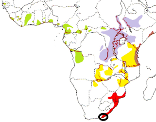Thick-billed Weaver map