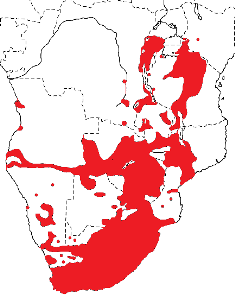 Southern Red Bishop map