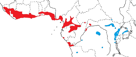 Yellow-mantled Weaver map