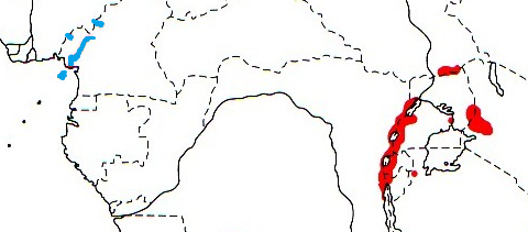 Black-billed Weaver map
