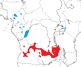 Marsh Widowbird map