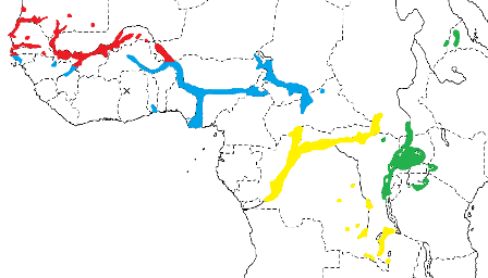 Yellow-backed Weaver map