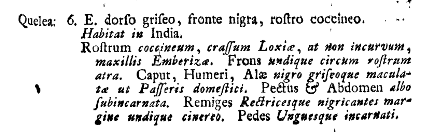 Linnaeus text