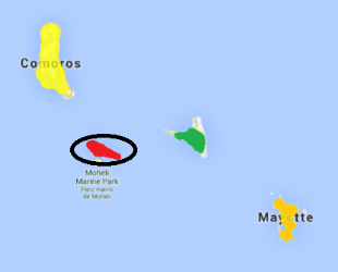 Comoro Fody map
