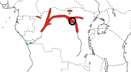 Bob-tailed Weaver map