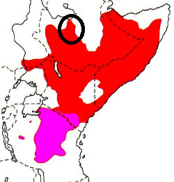 White-headed Buffalo-Weaver map