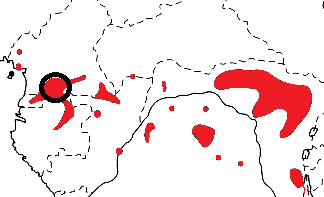 Red-crowned Malimbe map