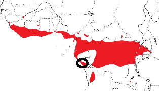 Red-headed Malimbe map