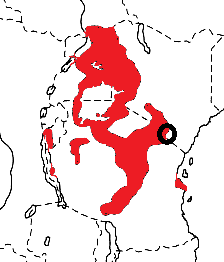 Golden-backed Weaver map