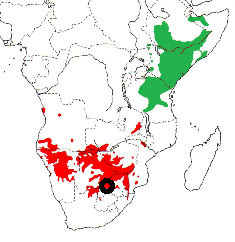 Red-billed Buffalo-Weaver map