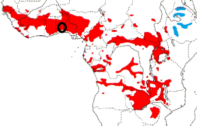 Yellow-mantled Widowbird map