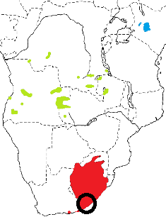 Long-tailed Widowbird map